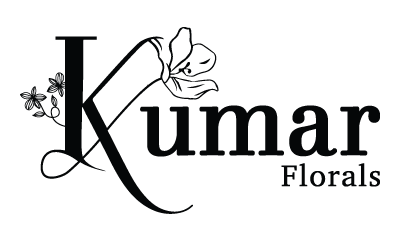 Logo_KF_0624